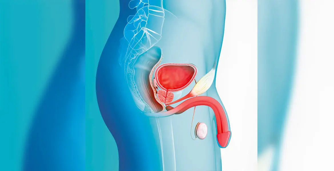 7 طرق سريعة تساعد على علاج ضعف الانتصاب