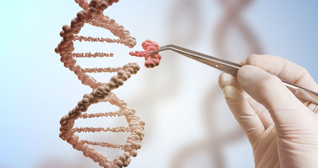 ما هي الامراض الوراثية ودور الفحص قبل الزواج و الحمل؟