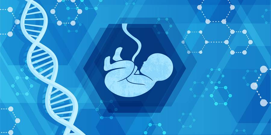 ما هي الامراض الوراثية ودور الفحص قبل الزواج و الحمل؟